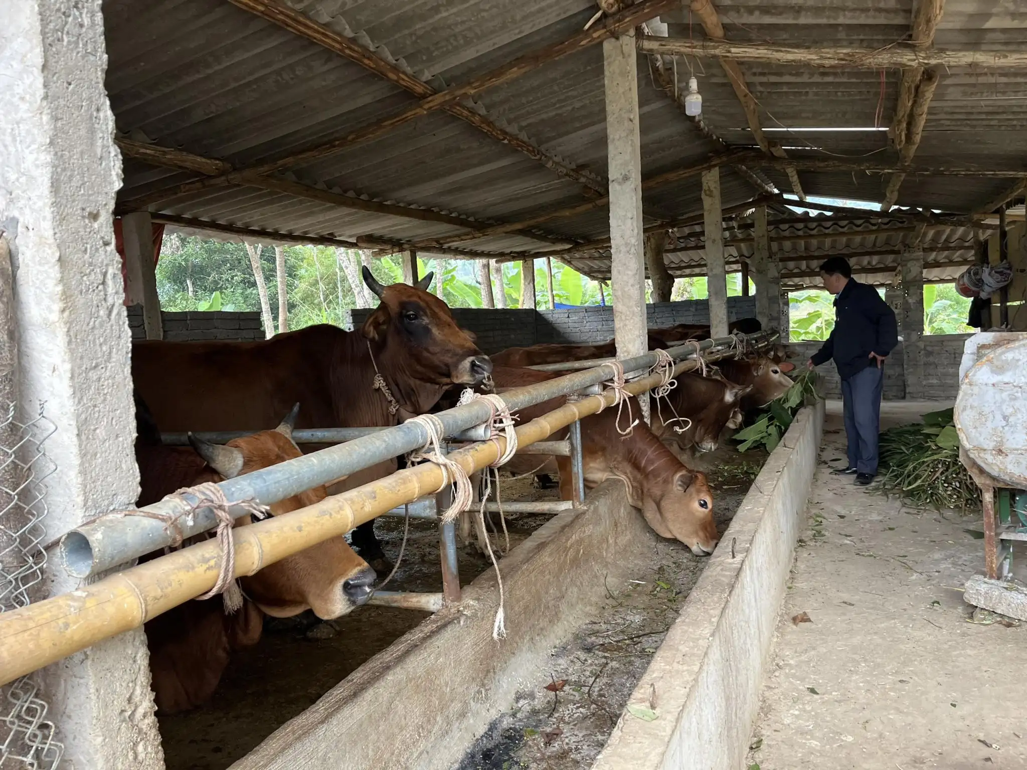 Lồng ghép các Chương trình để thực hiện các tiêu chí xây dựng nông thôn mới ở vùng đồng bào dân tộc thiểu số và miền núi