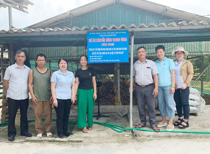 Nuôi gà VietGAHP liên kết, xuất chuồng tới đâu bán hết tới đó