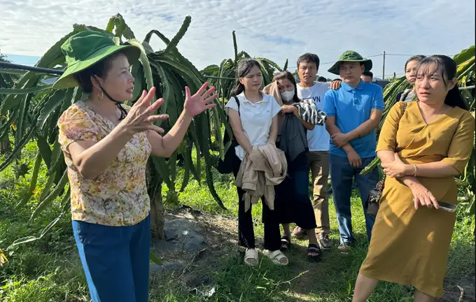 Tập huấn kỹ thuật canh tác trái vụ nâng cao sản lượng