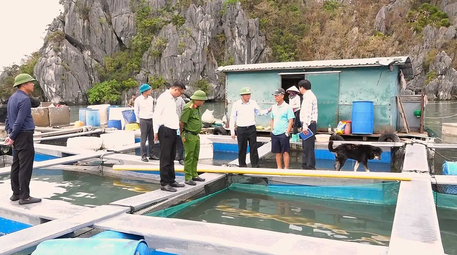 “Vựa” nuôi trồng thuỷ sản từng trù phú nhất nhì tỉnh Quảng Ninh đang “tươi tỉnh” lên sau siêu bão Yagi