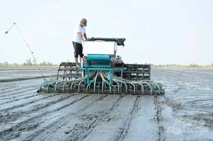 Cần Thơ phấn đấu có 48.000ha chuyên canh lúa chất lượng cao, phát thải thấp