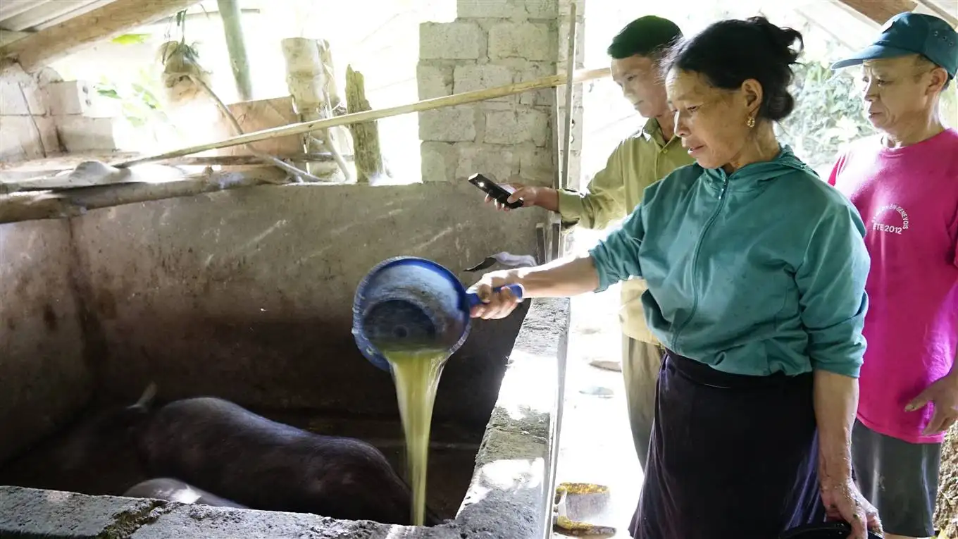 Dân xã này ở Lào Cai nuôi thành công con đặc sản quý hiếm, bán cao hơn 2-3 giá vẫn khối người mua