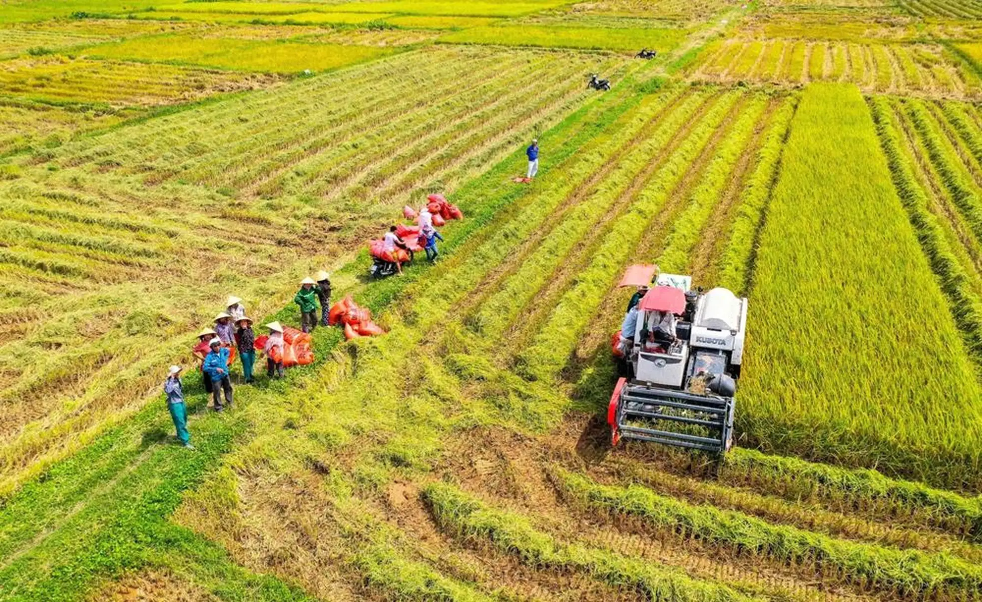 Diễn đàn Lắng nghe nông dân nói: Khơi thông nguồn lực đất đai, nhìn từ những đại điền thế hệ mới