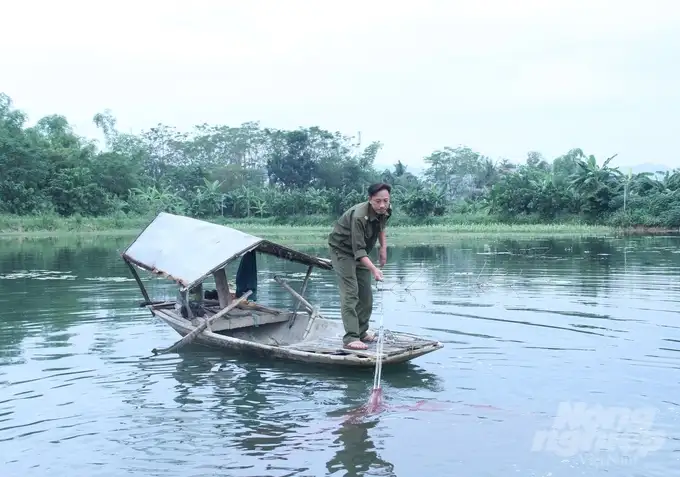 Hiệu quả từ chuyển đổi đất lúa kém hiệu quả sang nuôi tôm càng xanh