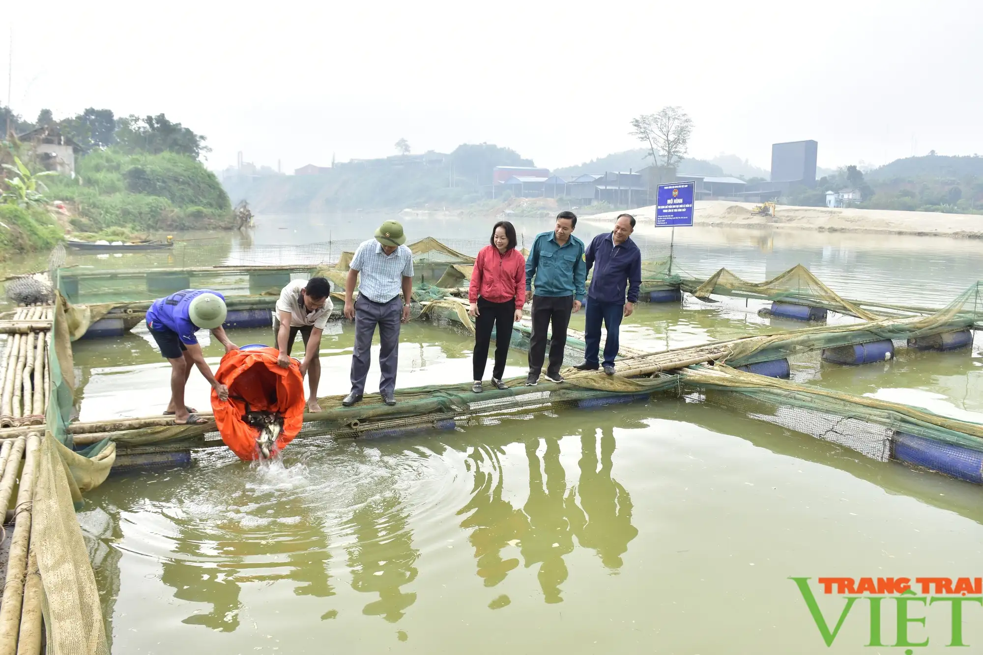 Hỗ trợ hơn 1 tấn cá giống cho bà con vùng lũ Lào Cai khôi phục sản xuất