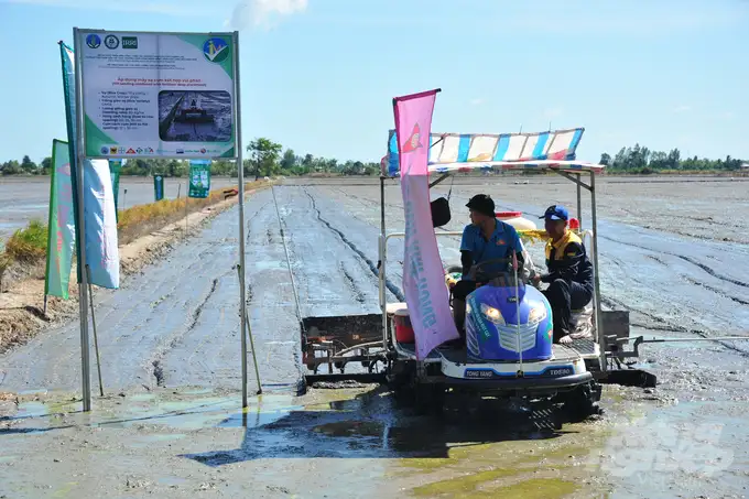 Máy sạ cụm với mục tiêu Đề án 1 triệu hecta lúa chất lượng cao