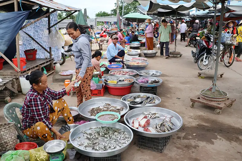 Mùa nước nổi Đồng Tháp, ngoài ruộng nước đỏ phù sa, trên chợ la liệt cá đồng