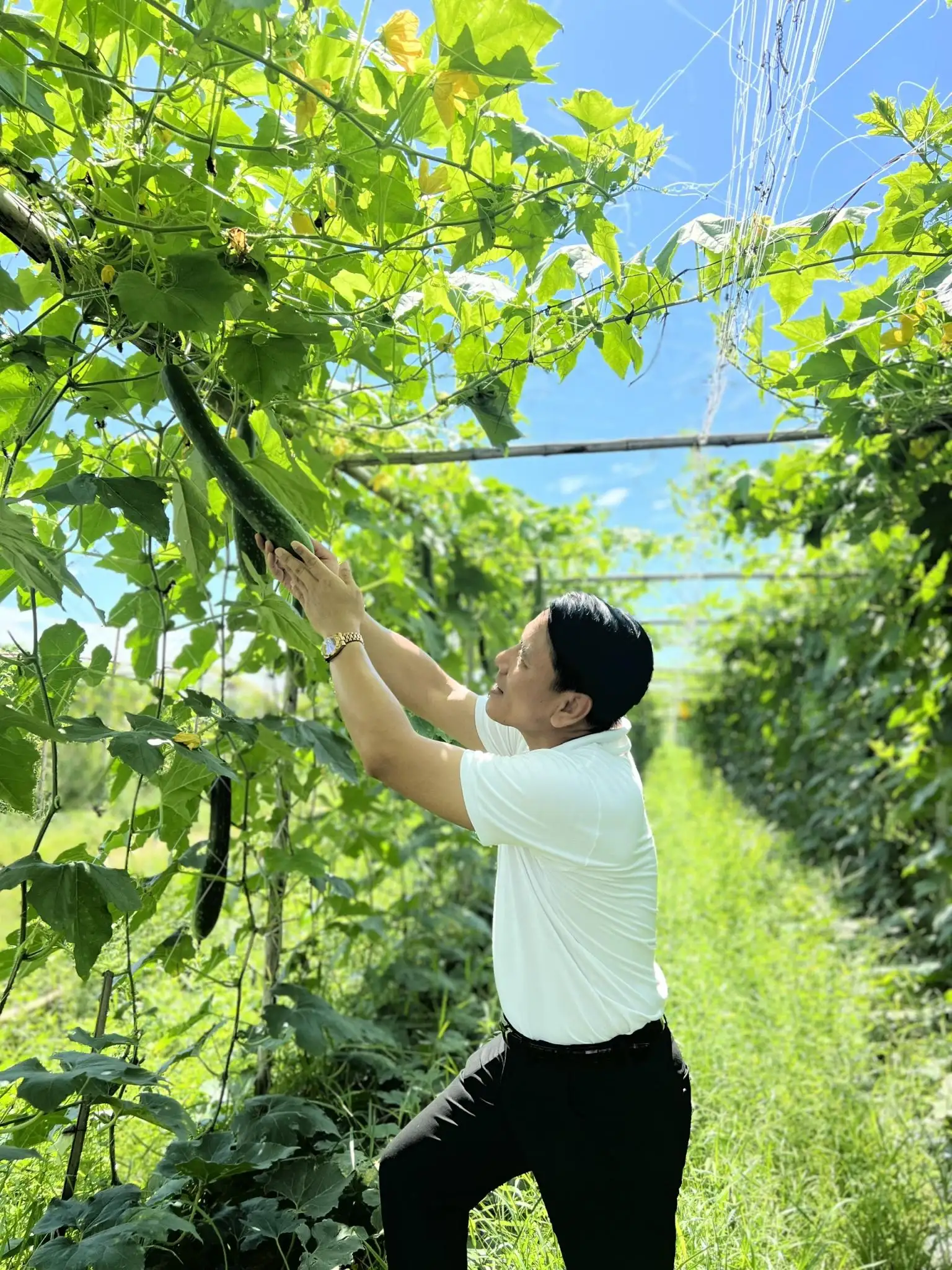 Nghệ An đẩy mạnh thực hiện Chương trình khoa học công nghệ trong xây dựng nông thôn mới