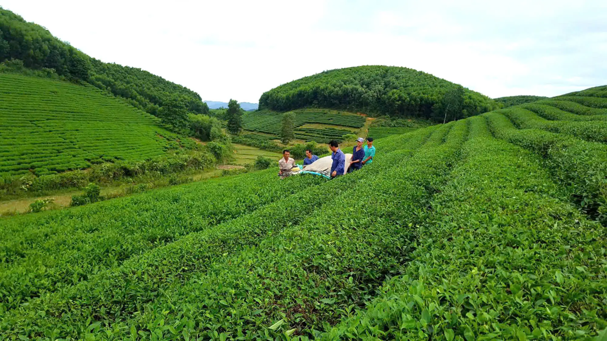 Xã Hùng Sơn, huyện Anh Sơn đón Bằng công nhận xã đạt chuẩn Nông thôn mới nâng cao