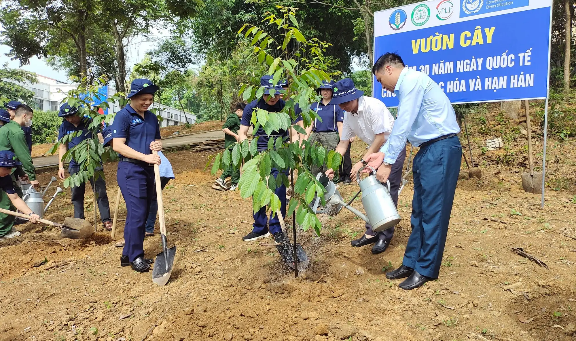 Thứ trưởng Bộ NNPTNT Nguyễn Quốc Trị gửi thư chúc mừng ngành lâm nghiệp, lĩnh vực duy nhất có khả năng phát thải ròng âm