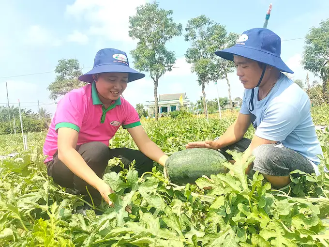 Tiền Giang dành nhiều chính sách sản xuất, quản lý giống cây trồng