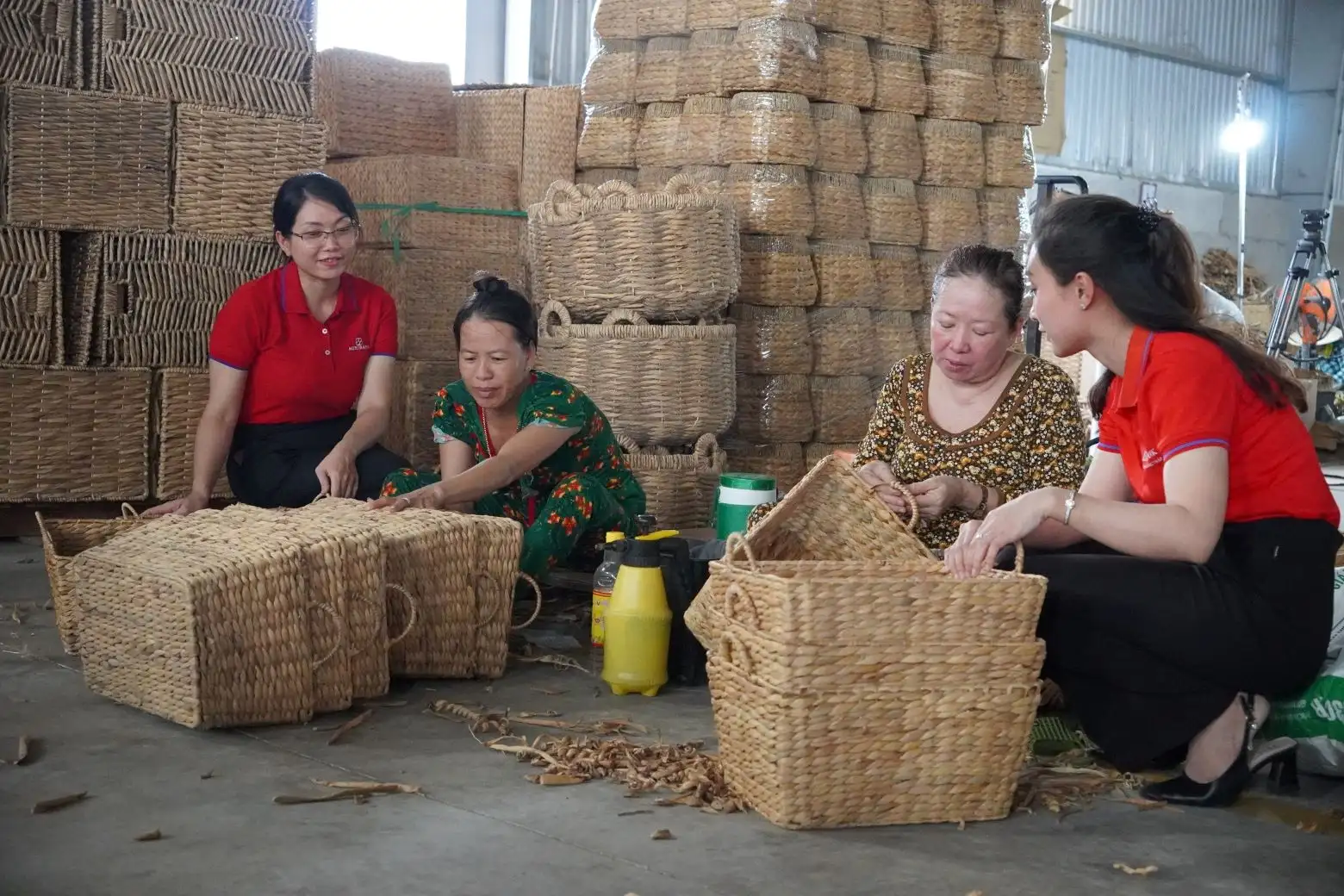 Tín dụng xanh – động lực cho phát triển bền vững: Nông dân, doanh nghiệp “hái ra tiền” nhờ đầu tư xanh, sạch (Bài 1)