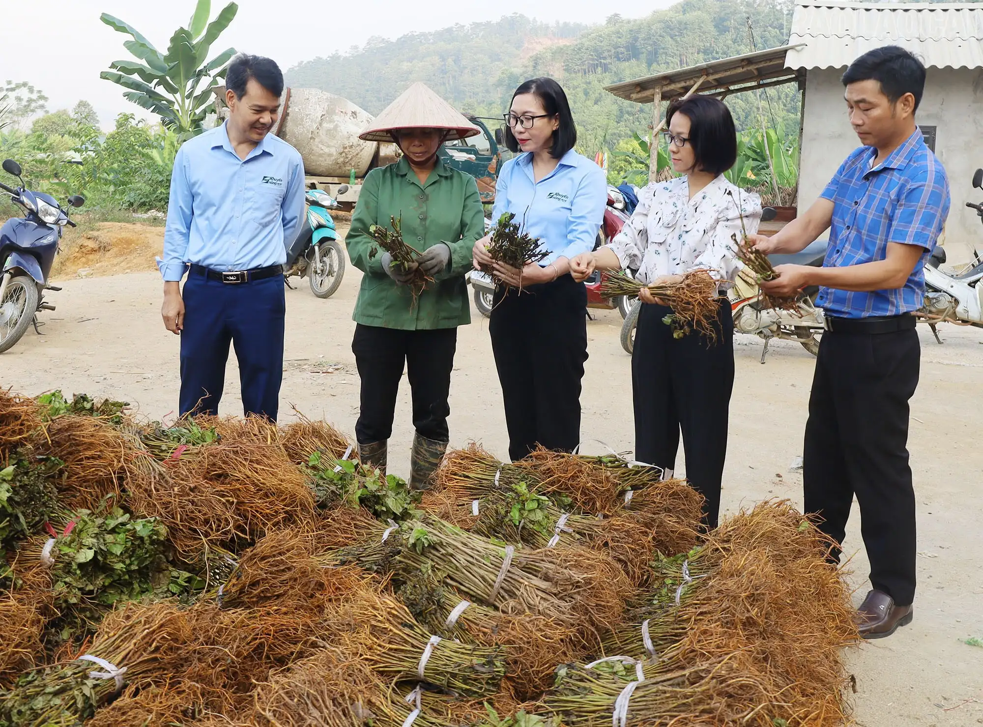 Trao hàng trăm nghìn cây dâu giống hỗ trợ nông dân vùng lũ Lào Cai khôi phục sản xuất