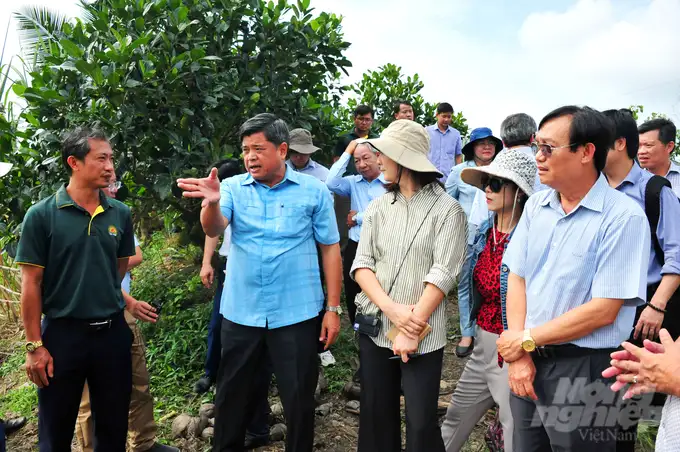 Xây dựng chuỗi liên kết lúa gạo giảm phát thải quy mô lớn