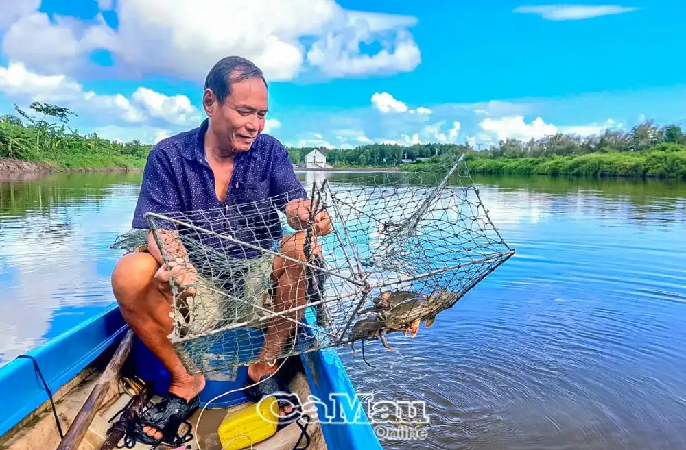 Mô hình đa canh ở nơi này của Cà Mau, dân nuôi con gì, trồng cây gì mà nhanh có tiền, ăn chắc mặc bền?