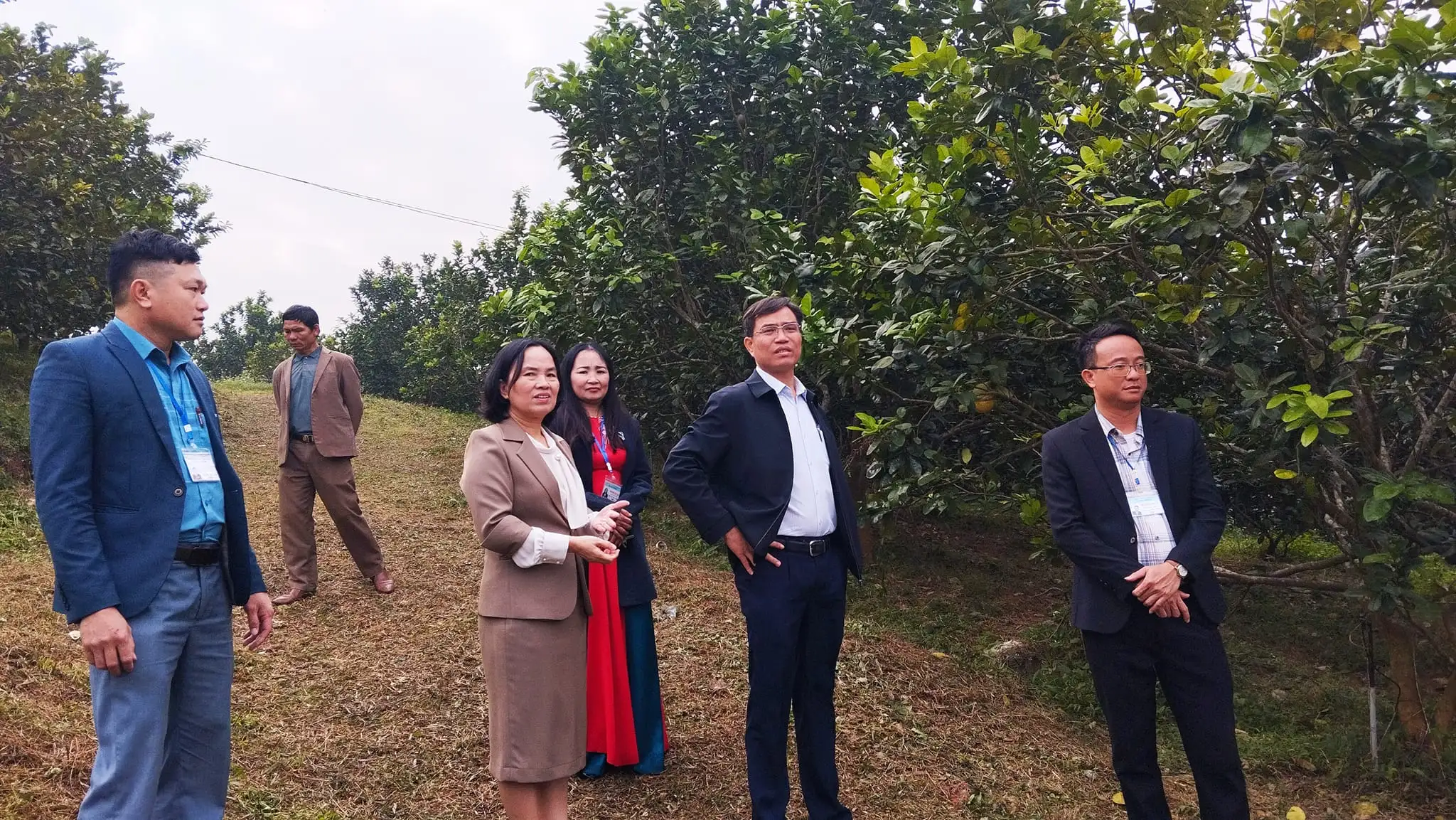 Thẩm định xét công nhận xã đạt chuẩn NTM nâng cao năm 2024 tại xã Tây Thành