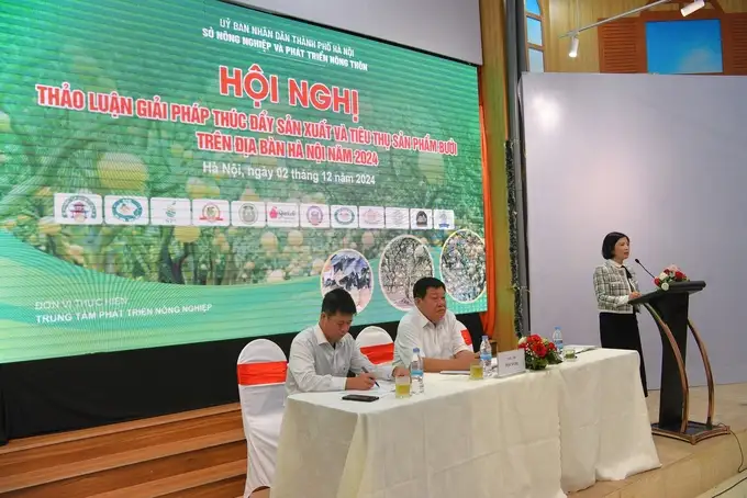 Quả bưởi đem lại 2.299 tỷ đồng/năm cho các chủ vườn Hà Nội