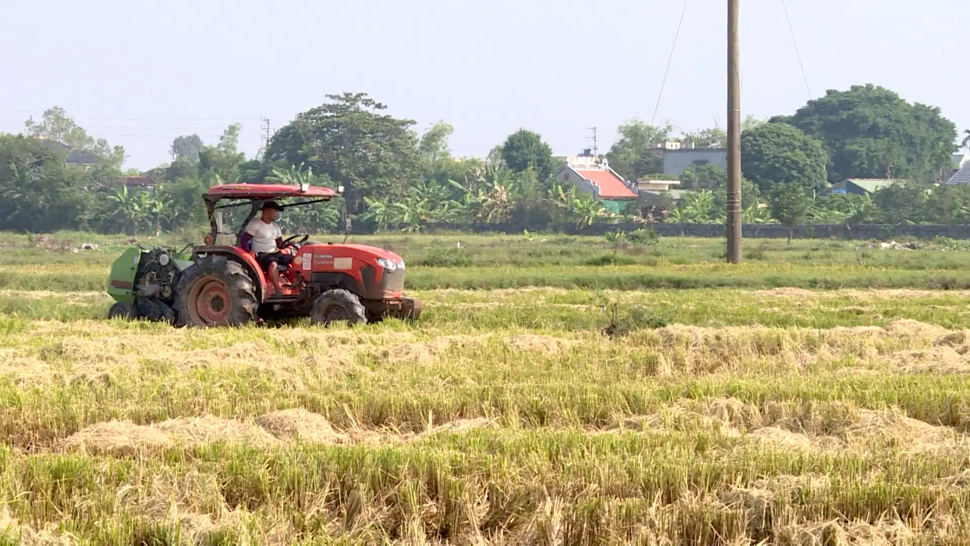 Thái Bình đang bỏ phí 1,2 triệu tấn “nguyên liệu rẻ tiền” gì mà nếu sử dụng tốt có giá lên tới 500 tỷ/năm?