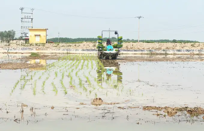 7 nhiệm vụ, giải pháp &#8216;đòn bẩy&#8217; để Hà Tĩnh trở thành tỉnh nông thôn mới