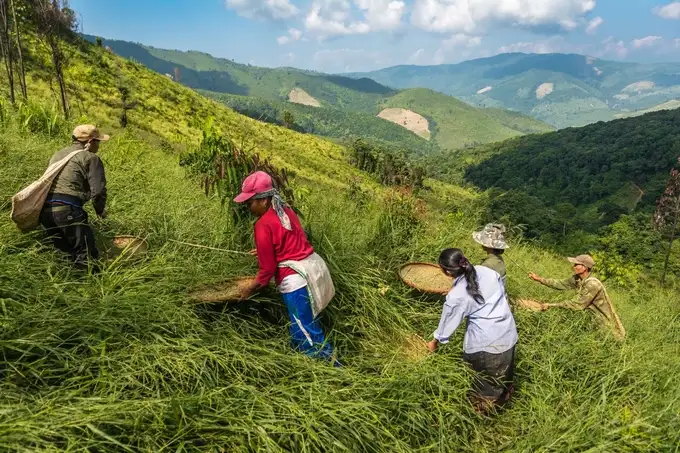 Nông nghiệp sinh thái: Hướng đi bền vững cho tương lai