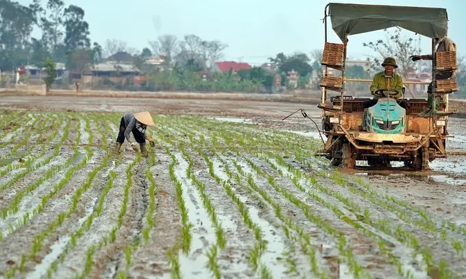 Xã kiểu mẫu vươn mình từ những khay mạ non