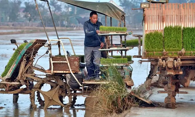 Xã kiểu mẫu vươn mình từ những khay mạ non