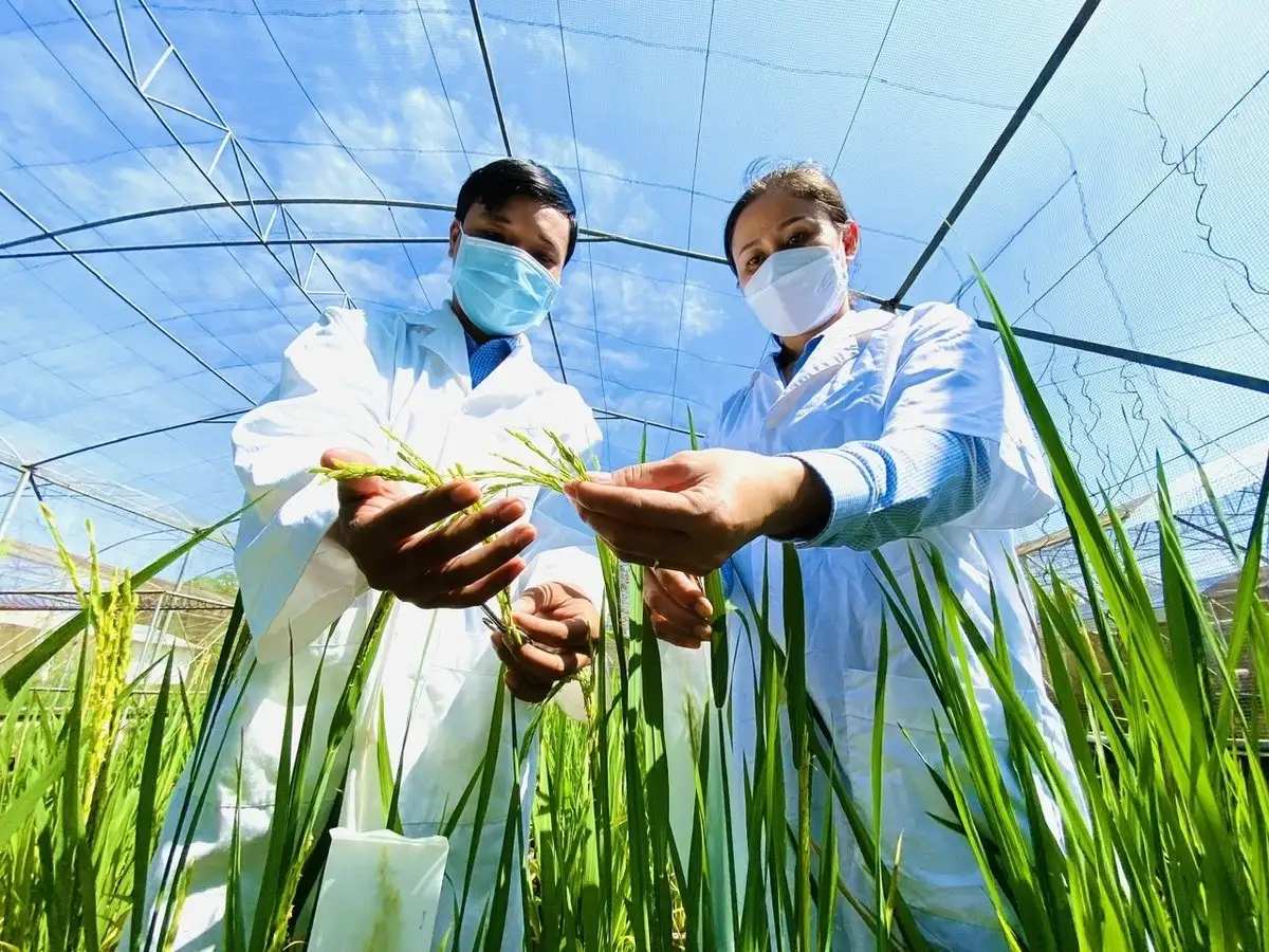 5 giải pháp trọng tâm, đột phá về KHCN ngành nông nghiệp và môi trường