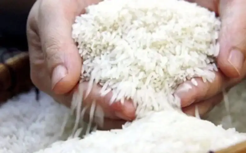 Dự trữ gạo của Indonesia đạt mức cao kỷ lục, tác động tới xuất khẩu gạo Việt ra sao?