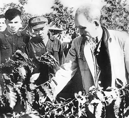 Xây dựng, phát triển nông nghiệp &#8211; nông thôn đồng bộ theo tư tưởng Hồ Chí Minh