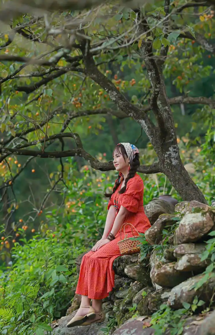 Huyện Nam Đàn đạt chuẩn nông thôn mới nâng cao bền vững tiến tới xây dựng nông thôn mới kiểu mẫu