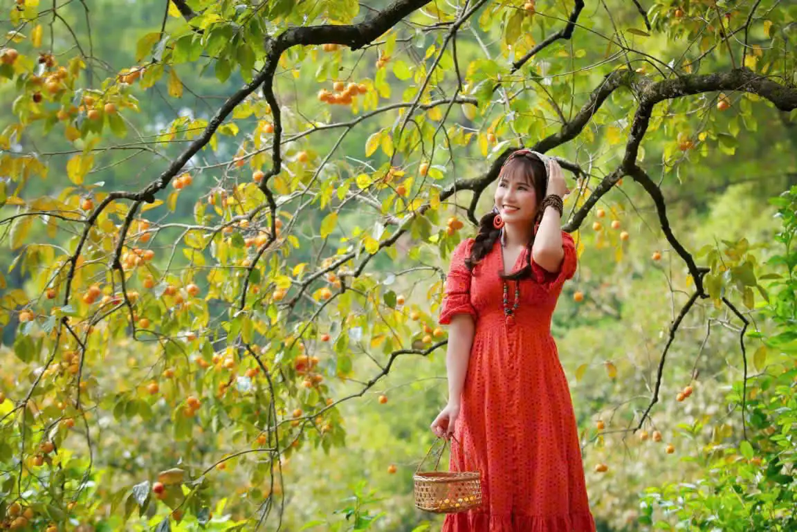 Huyện Nam Đàn đạt chuẩn nông thôn mới nâng cao bền vững tiến tới xây dựng nông thôn mới kiểu mẫu