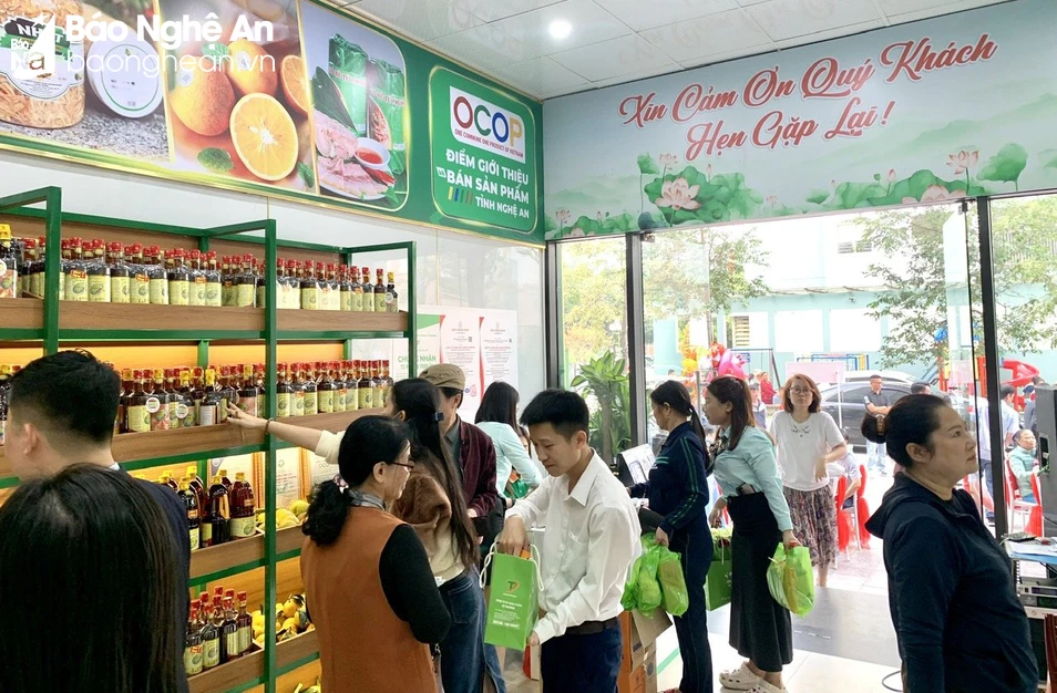 OCOP Nghệ An đang có những thuận lợi, khó khăn gì trong sản xuất, tiêu thụ và phát triển sản phẩm