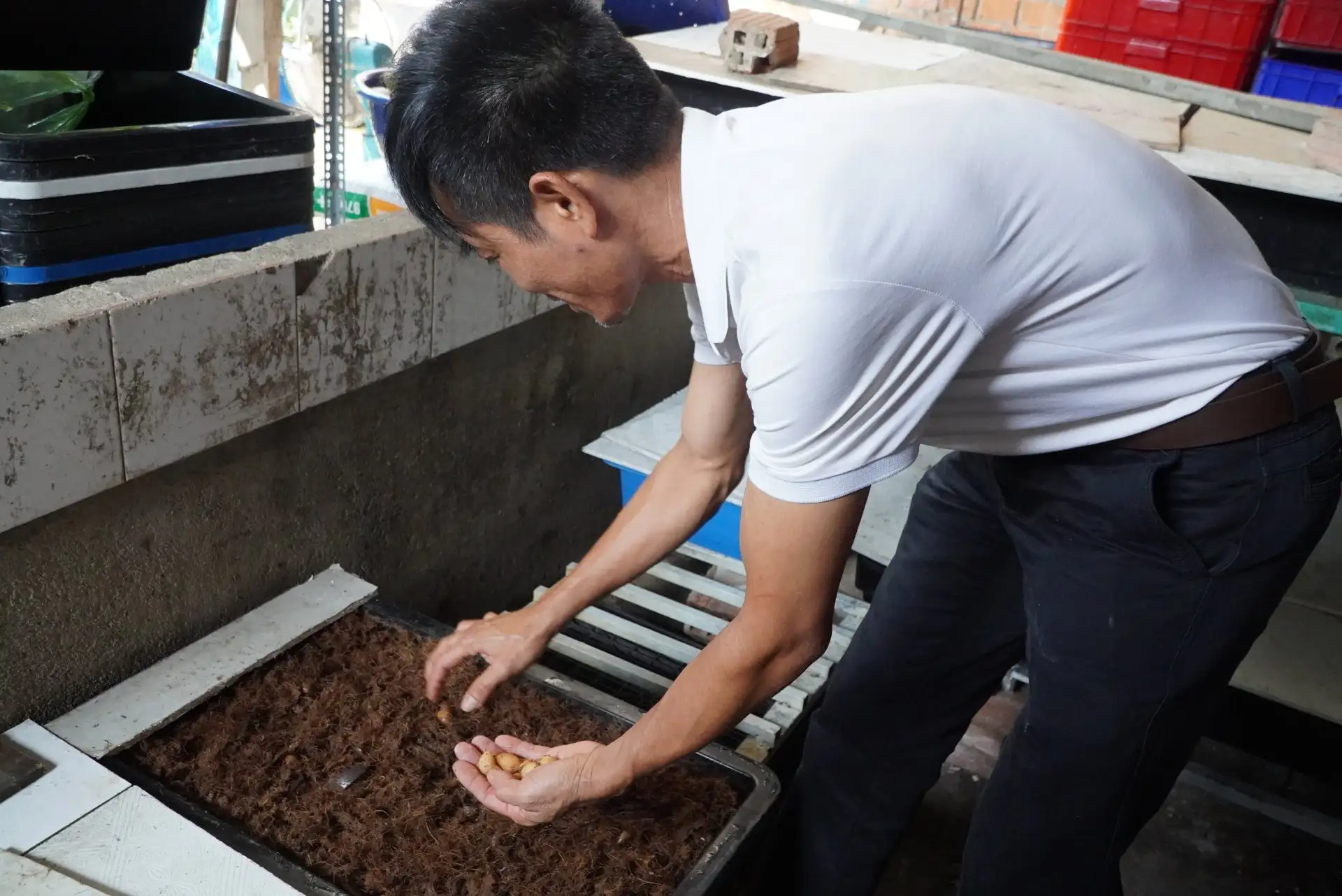 Nuôi la liệt loài sâu gì mà bán từ nhộng đến con bố mẹ, một người Kon Tum &#8220;tự trả lương&#8221; 100-150 triệu/tháng