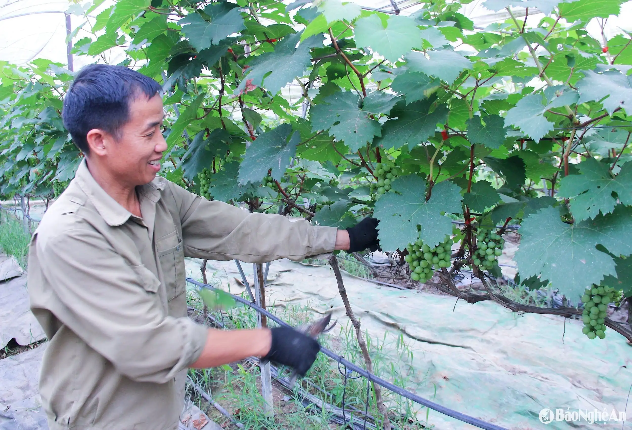 THỰC HIỆN LỜI CĂN DẶN CỦA BÁC XÂY DỰNG NAM ĐÀN THÀNH MIỀN QUÊ KIỂU MẪU