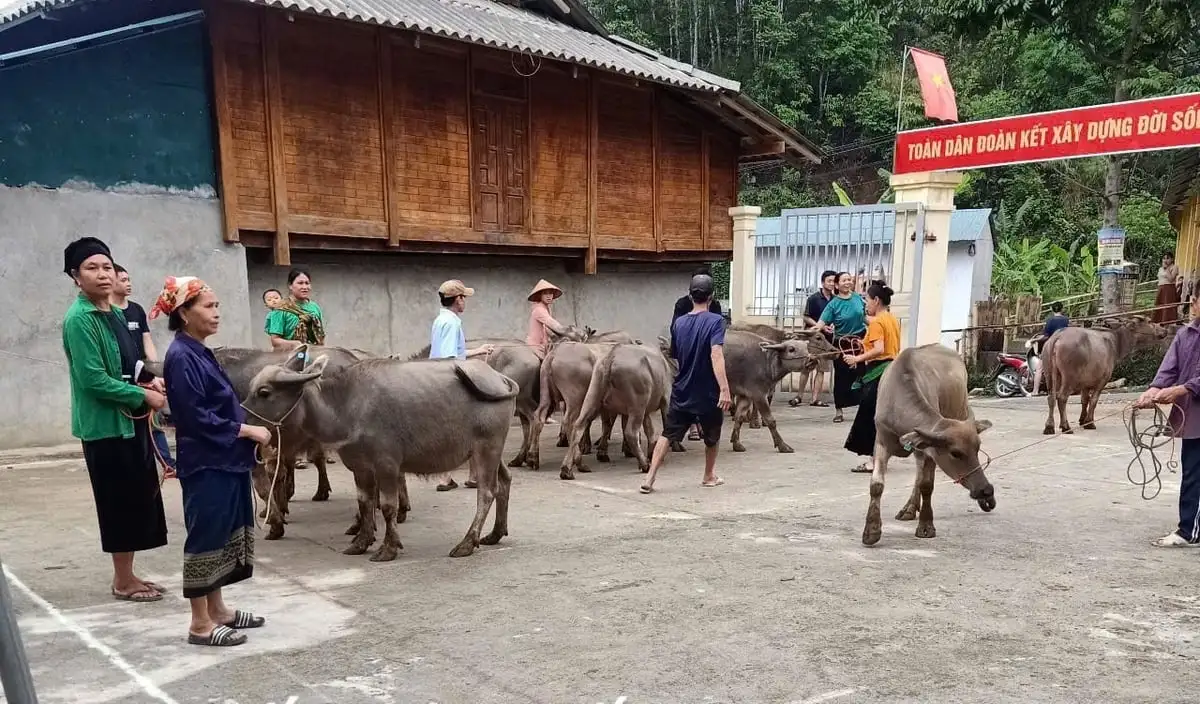Xã biên giới làm tốt phong trào Vì người nghèo