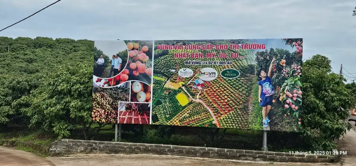 Bắc Giang đẩy mạnh chuyển đổi số, xây dựng nông thôn mới bền vững