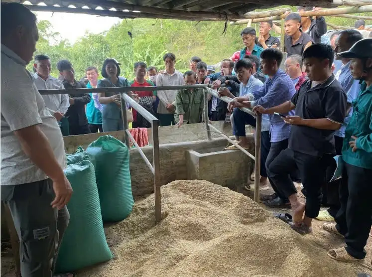 Điện Biên: Ứng dụng khoa học kỹ thuật giúp nông dân đổi mới sản xuất