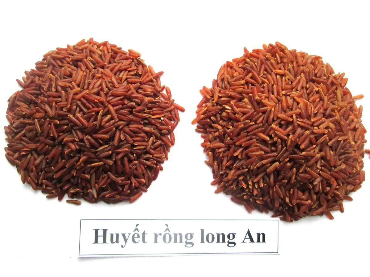 &#8216;Hồi sinh&#8217; giống lúa mùa đặc sản quý hiếm