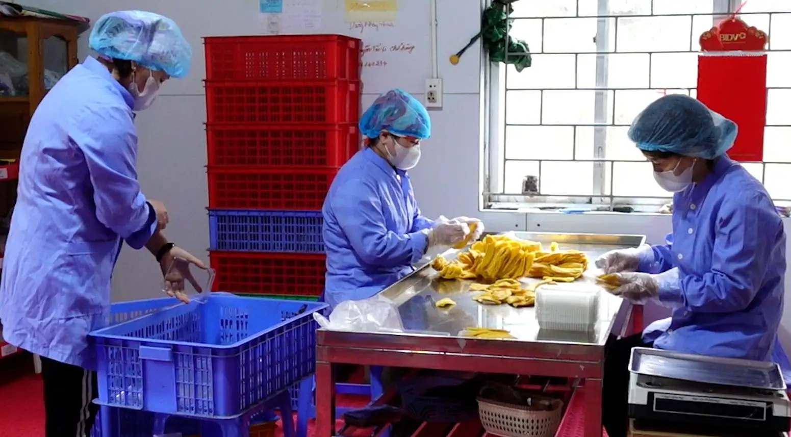 Hợp tác xã thu mua 600 tấn quả tươi mỗi năm, nhận hàng ngàn đơn hàng mỗi ngày