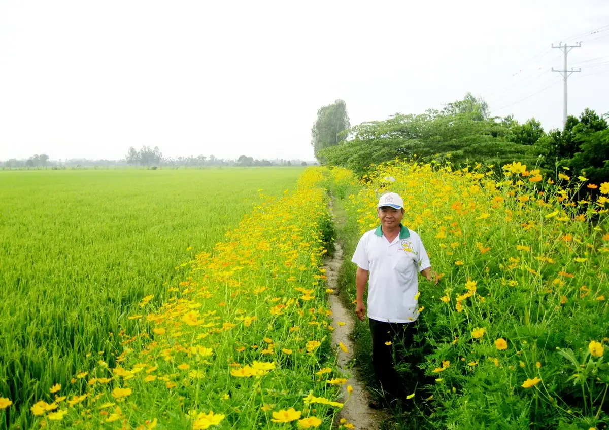 Lê Chánh vùng đất thuần nông hướng đến nông thôn mới kiểu mẫu