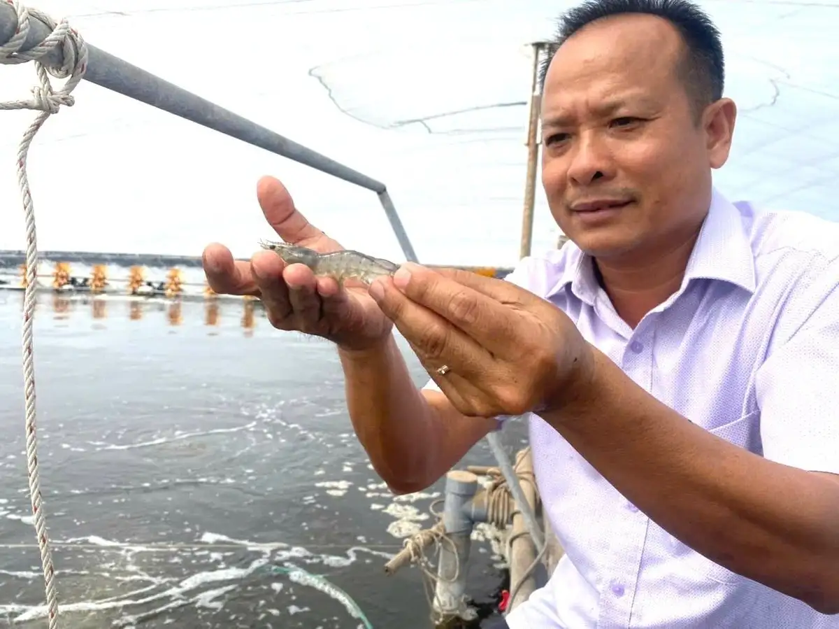Nông thôn Tiền Giang ngày càng hiện đại