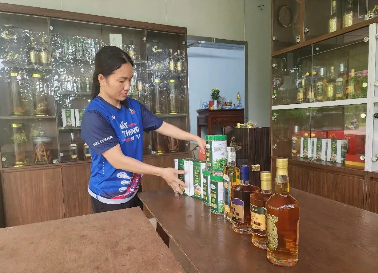 Phát triển du lịch trải nghiệm từ sản phẩm OCOP sâm Núi Dành