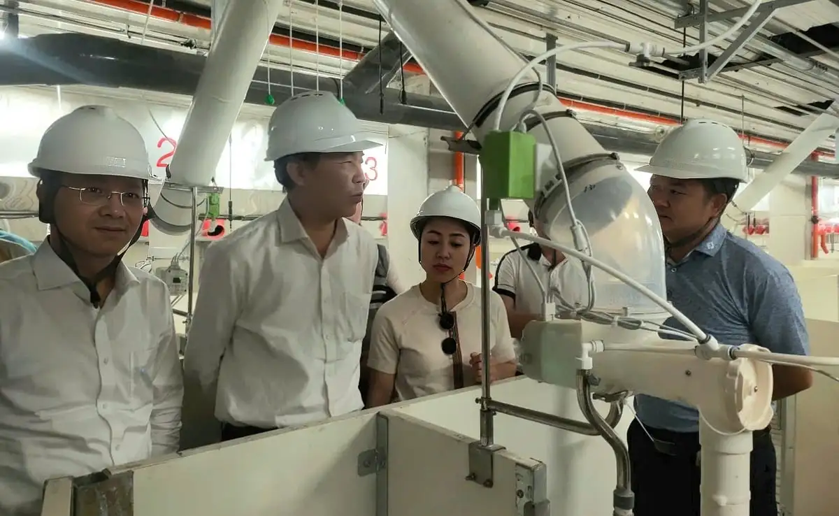 Tăng hiệu suất sử dụng đất nhờ mô hình trại lợn nhiều tầng