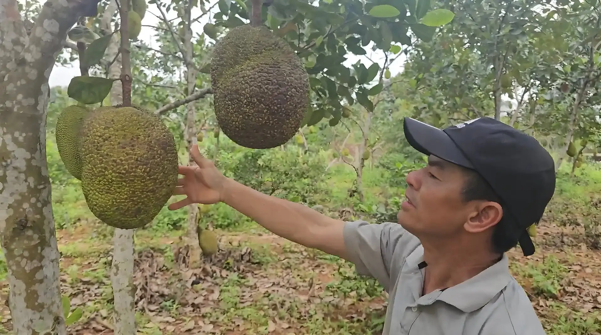 Xã nghèo vượt khó tiến đến chuẩn nâng cao