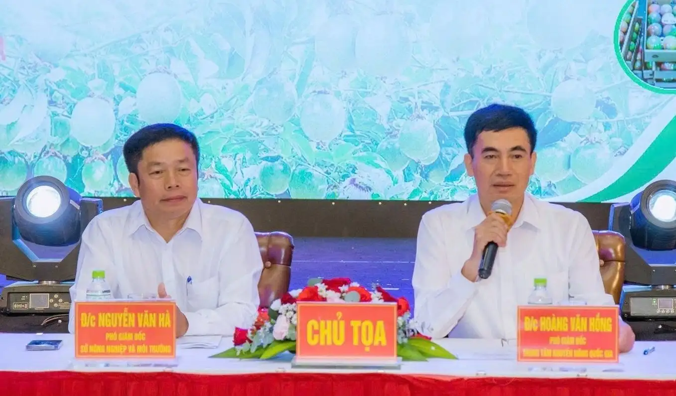 Bàn giải pháp xây dựng chuỗi liên kết sản xuất, tiêu thụ chanh leo bền vững