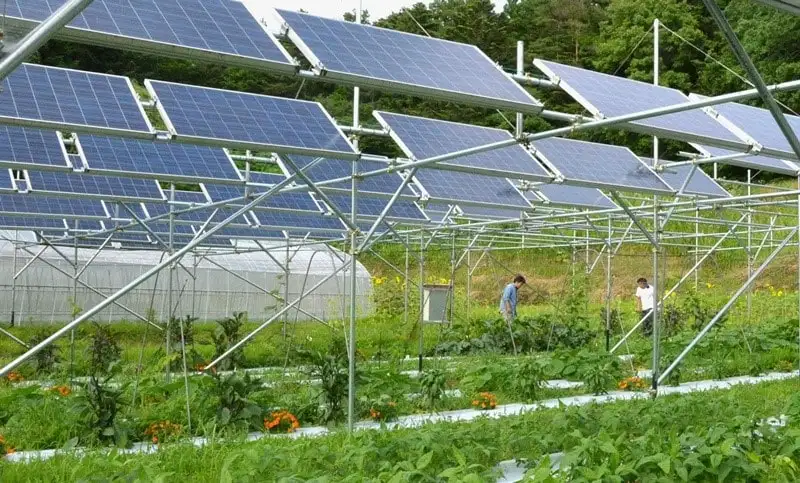 Bộ Nông nghiệp và Môi trường cần tiên phong theo hướng kinh tế nông nghiệp carbon thấp