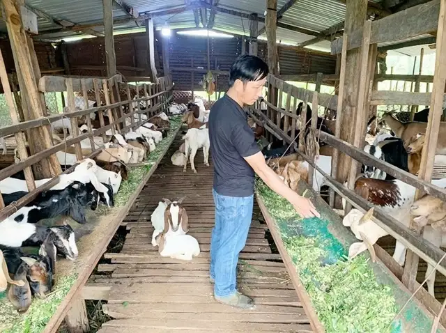 Bừng sáng sức sống nông thôn mới từ vùng đất cao nguyên Gia Lai
