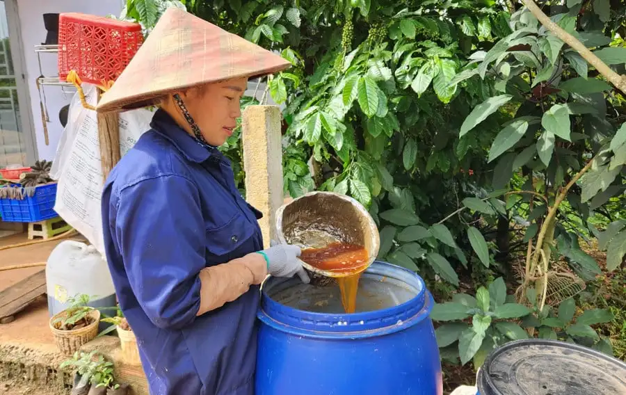 Cà phê, chanh dây, rau sạch trồng trên đất đỏ ở Tây Gia Lai đang được trồng theo cách gì mà khiến ai cũng muốn mua?