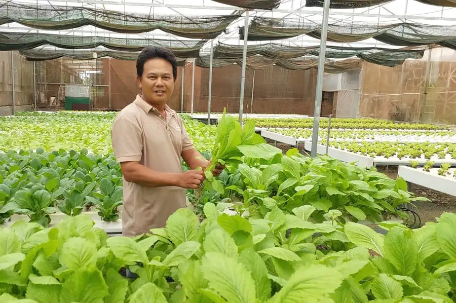 Cà phê, chanh dây, rau sạch trồng trên đất đỏ ở Tây Gia Lai đang được trồng theo cách gì mà khiến ai cũng muốn mua?