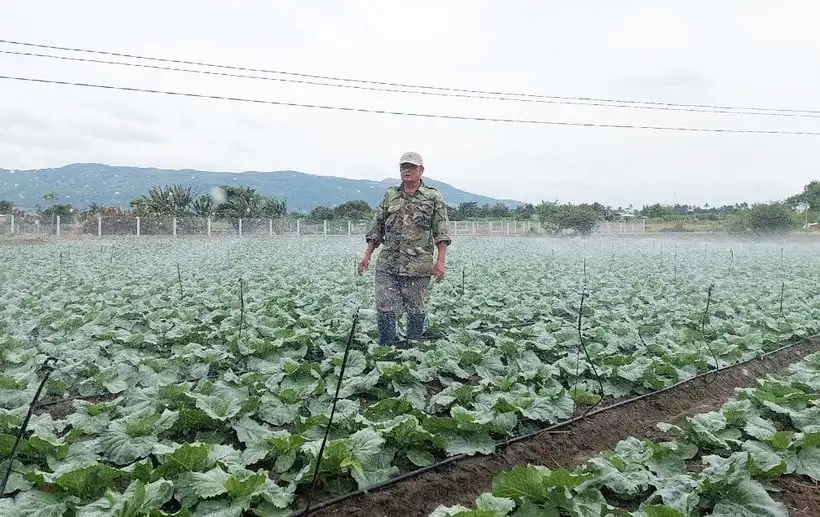 Cà phê, chanh dây, rau sạch trồng trên đất đỏ ở Tây Gia Lai đang được trồng theo cách gì mà khiến ai cũng muốn mua?